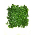 Jardin vertical con filtro UV Pack 10 unidades Terraza y Jardin
