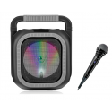 Parlante karaoke 765gr 6.5 philco gris Parlantes