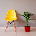 Silla Eames Amarilla Sillas Modernas Tipo Eames DSW
