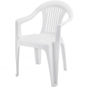 Silla Barcelona Con Brazo Reyplast Terraza y Jardin