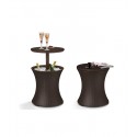 Cooler 2 en 1 simil rattan Terraza y Jardin