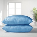 Pack 2 Almohadas 50x70cm Premium Eco turquesa, Masel Almohadas