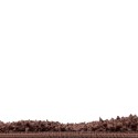 Alfombra Nubia1 2.00x2.85 Chocolate Inicio