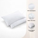 Pack 2 almohadas antialérgicas 50x70 cm. Masel Almohadas