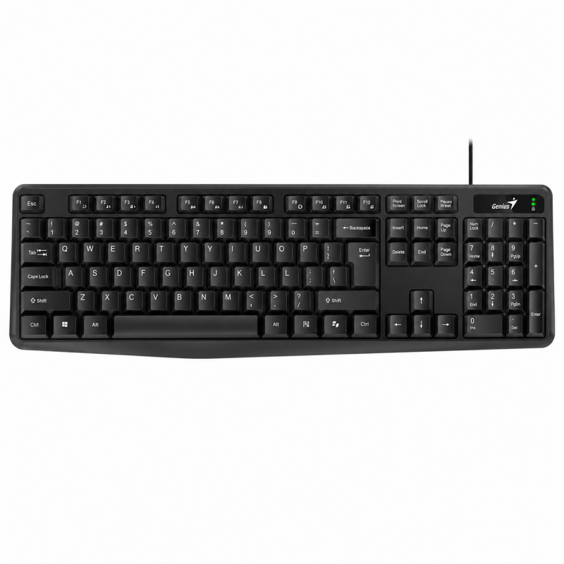 Teclado Genius KB-117 Copilot USB Negro