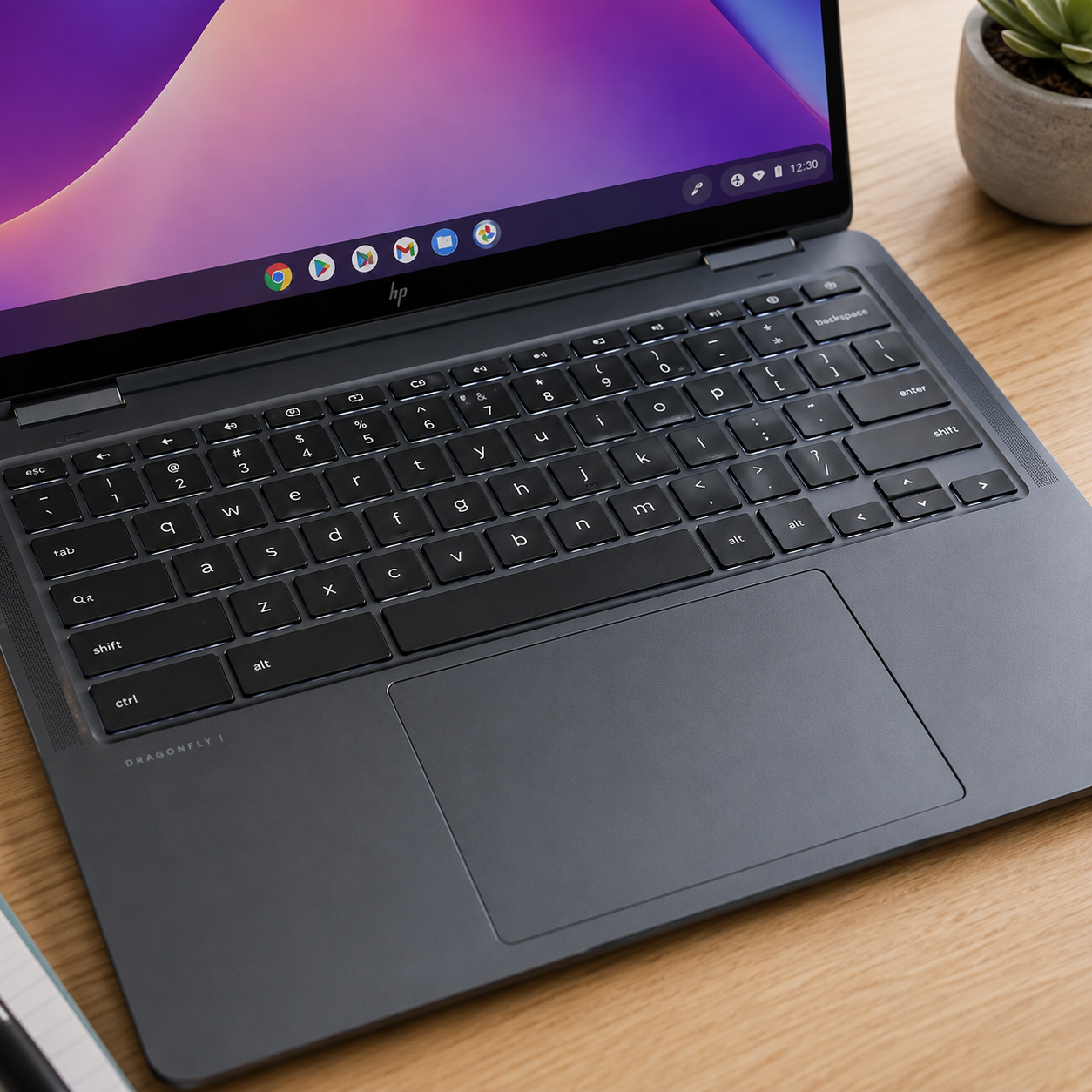 Chromebook Elite Dragonfly CBE Intel Core i7 16GB RAM 256GB SSD
