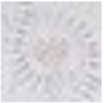 Circulo