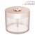 BP3 780ML Pink