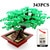 343PCS Tree Bricks